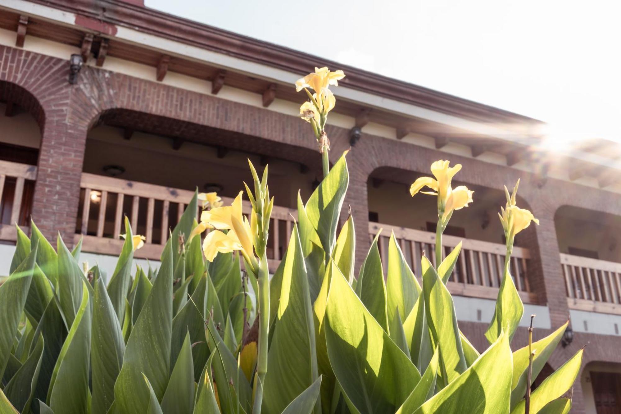 Hotel La Casona Jilotepec de Abasolo Eksteriør billede